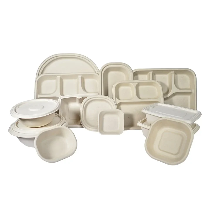 Bagasse Products