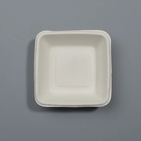 Disposoul Bagasse Square Disposable Plate 5 inch